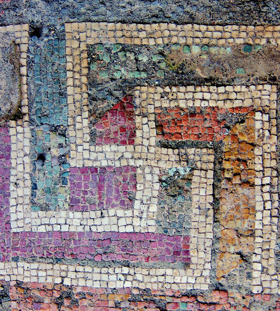VI.9.6 Pompeii. 2019. Room 12, detail from coloured mosaic floor in cubiculum, (II style).
Photo courtesy of Davide Peluso.
