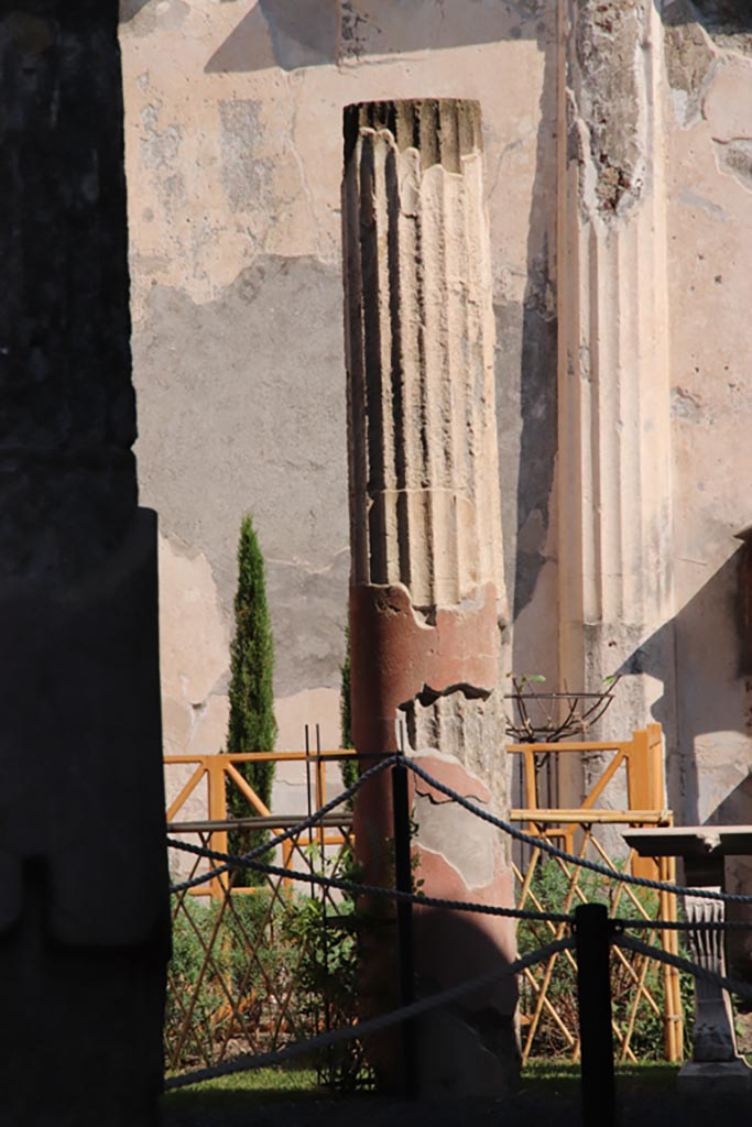 VI.9.6 Pompeii. October 2022. 
Area 17, looking towards column on west portico. Photo courtesy of Klaus Heese.

