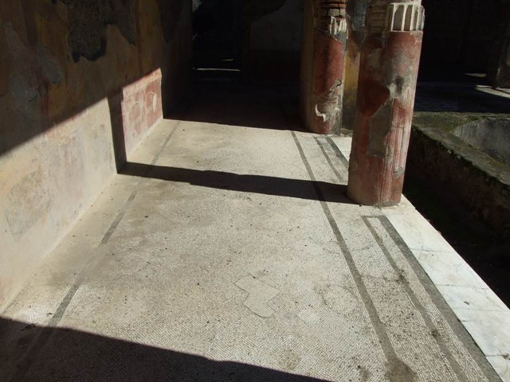 VI.9.6 Pompeii. March 2009. Room 6, mosaic floor at east end of north side of peristyle.