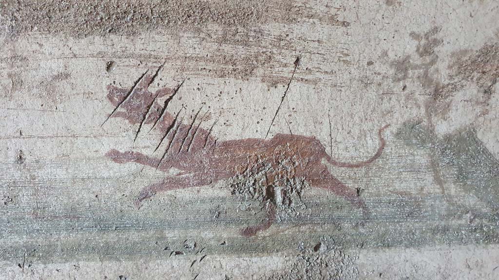 VI.10.1 Pompeii. July 2021. Detail from hunt scene on predella of south wall of rear room.
Foto Annette Haug, ERC Grant 681269 D�COR.

