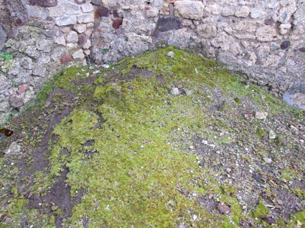VI.10.4 Pompeii.  March 2009.  Courtyard or garden area.