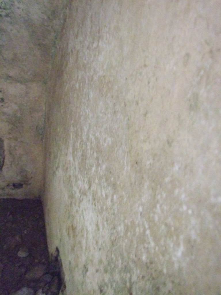 VI.10.6 Pompeii.  March 2009.  Room 8.  Recess under stairs.
