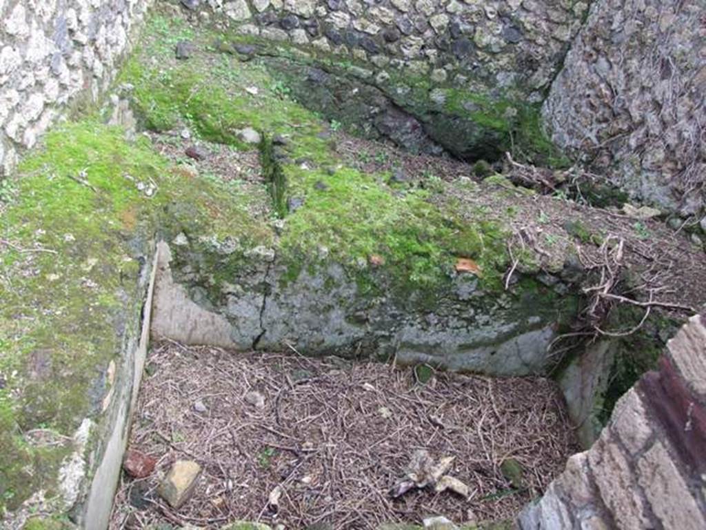 VI.10.6 Pompeii.  March 2009.  Room 11.   Basin.