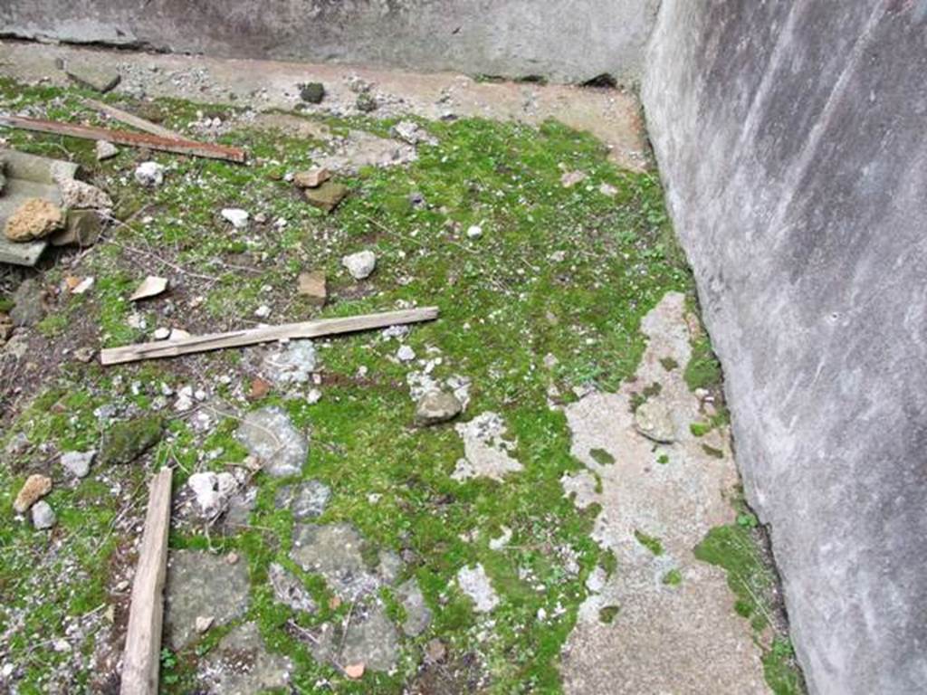 VI.10.7 Pompeii.  March 2009.  Room 2.  Floor.