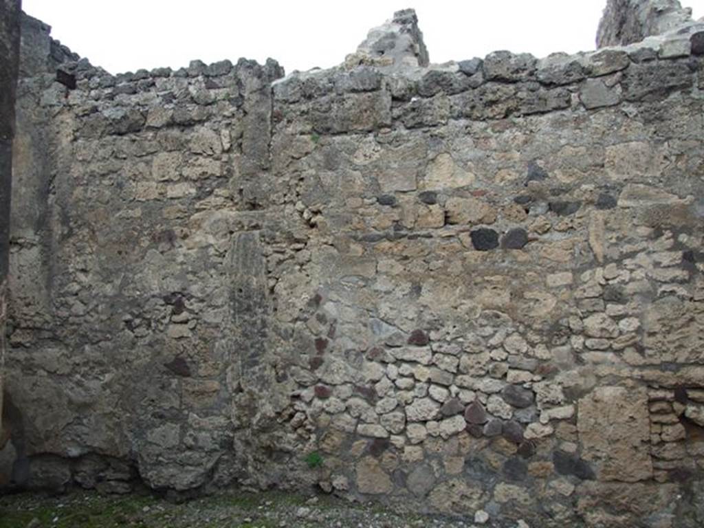 VI.10.7 Pompeii.  March 2009.  Room 4.  North wall.