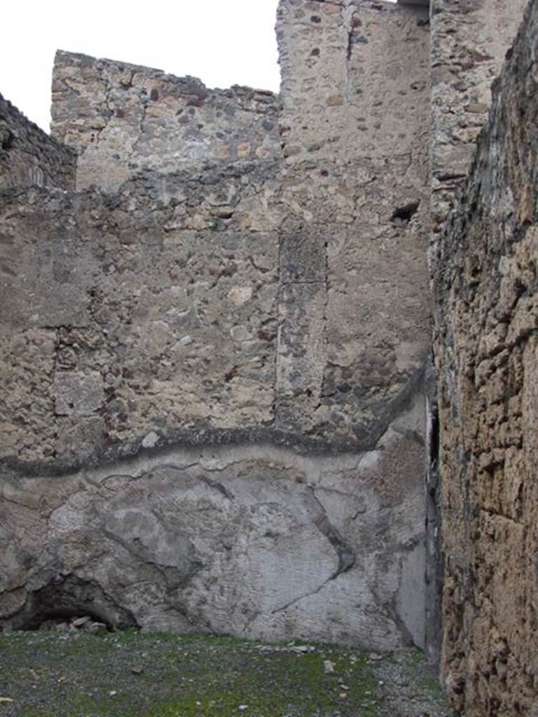 VI.10.11 Pompeii.  March 2009.  Room 9.  Oecus.  North wall.