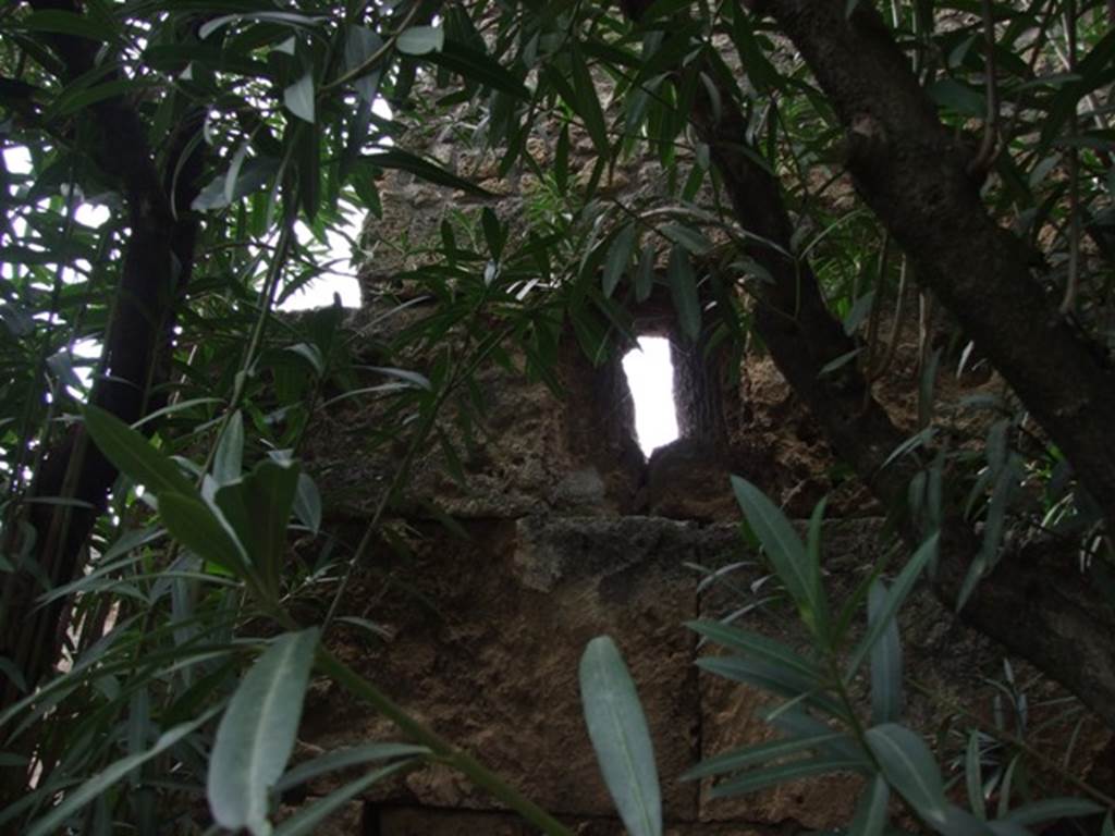 VI.10.11 Pompeii. March 2009. Room 17, west wall of garden with small window next to entrance at VI.10.8