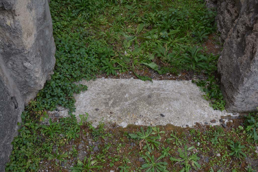 VI.11.9 Pompeii. October 2017. Room 4, doorway threshold.
Foto Annette Haug, ERC Grant 681269 D�COR
