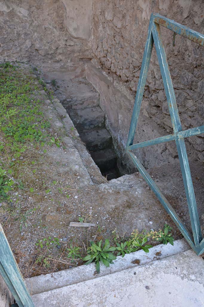 VI.11.9 Pompeii. October 2017. 
Room 2, looking towards south-west corner and steps to cellar, near west wall. 
Foto Annette Haug, ERC Grant 681269 D�COR


