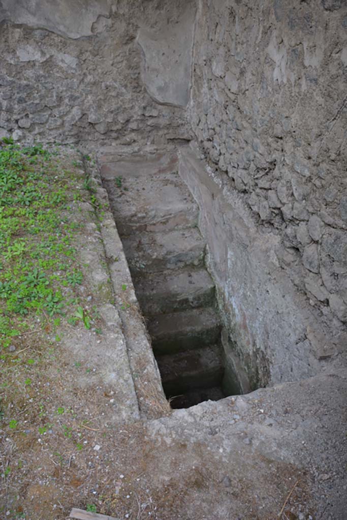 VI.11.9 Pompeii. October 2017. Room 2, steps to cellar, near west wall.
Foto Annette Haug, ERC Grant 681269 D�COR

