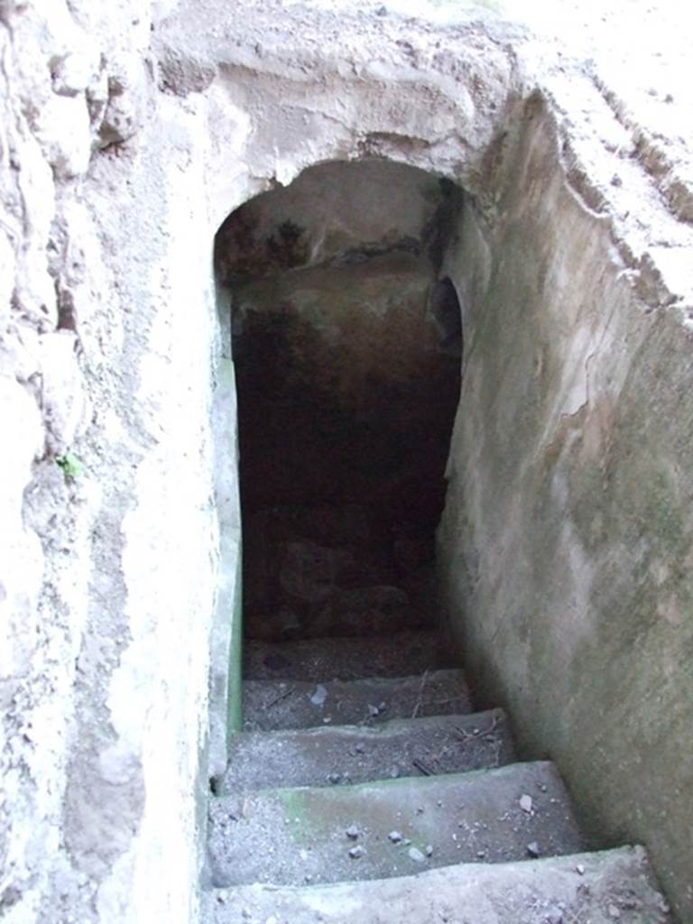 VI.11.9 Pompeii. December 2007. Room 2, looking north down steps to cellar.  