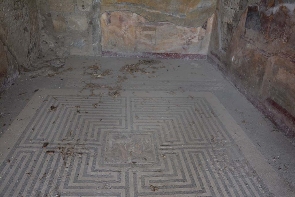 VI.11.10 Pompeii. October 2017. Room 42, looking north across flooring.
Foto Annette Haug, ERC Grant 681269 D�COR

