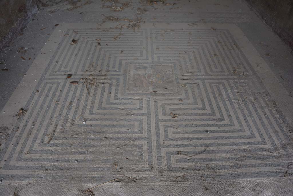 VI.11.10 Pompeii. October 2017. Room 42, looking north across �labyrinth� mosaic flooring.
Foto Annette Haug, ERC Grant 681269 D�COR
