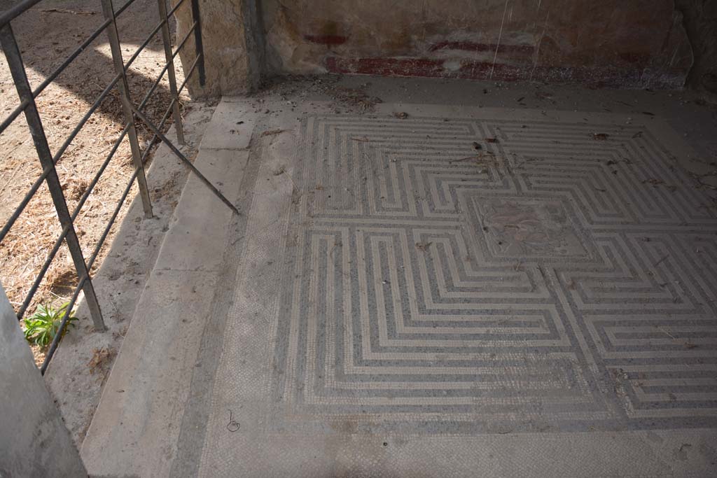 VI.11.10 Pompeii. October 2017. Room 42, looking west across mosaic flooring, at south end.
Foto Annette Haug, ERC Grant 681269 D�COR
