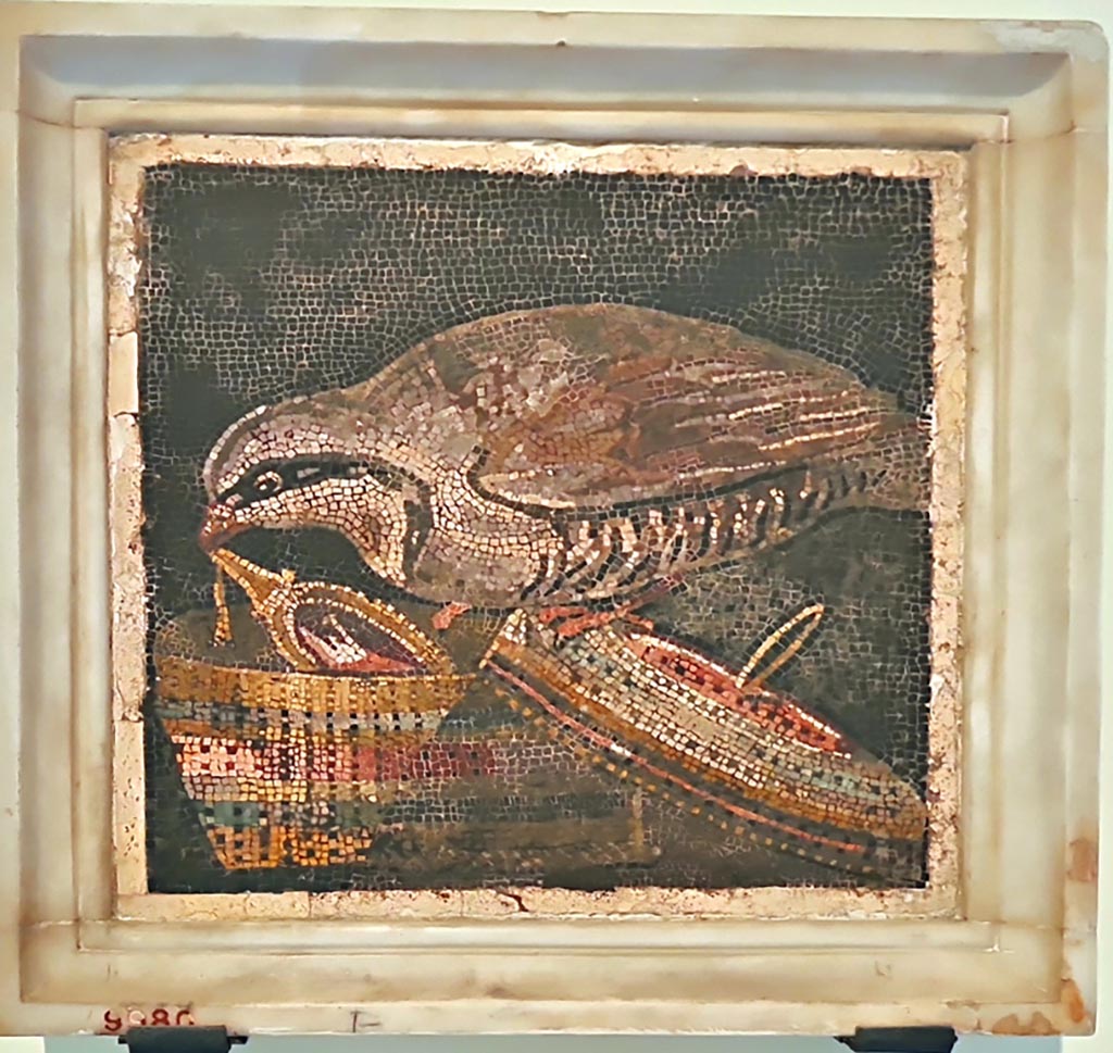 VI.11.10 Pompeii. Found in room 45, small room on right side of room 43, on 10th September 1835. Mosaic of partridge stealing a mirror.
Now in Naples Archaeological Museum, inventory number 9980.
According to the information card –
Partridge on a basket with mirror.
Mosaic emblema in opus vermiculatum made from polychrome tesserae. A partridge is depicted against a black background.
The bird is shown lifting a mirror from a lidless basket by pulling it by its handle; the theme is inspired by a Hellenistic prototype by Sosus of Pergamon. (First half of the 1st century BC.)
(Pernice su cesto con specchio.
Emblema pavimentale in opus vermiculatum d tessere policrome. 
Su un fondo nero è raffigurata una pernice che solleva, da un cestino scoperchiato, uno specchio, tirandolo su per il manico; il soggetto è ispirato a un prototipo ellenistico di Sosos di Pergamo. Prima meta del I secolo a.C.)
Photo courtesy of Giuseppe Ciaramella. September 2024.
