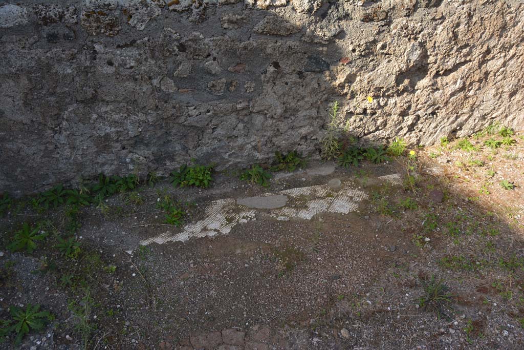VI.11.10 Pompeii. October 2017. Room 35, traces of mosaic flooring near west wall.
Foto Annette Haug, ERC Grant 681269 D�COR
