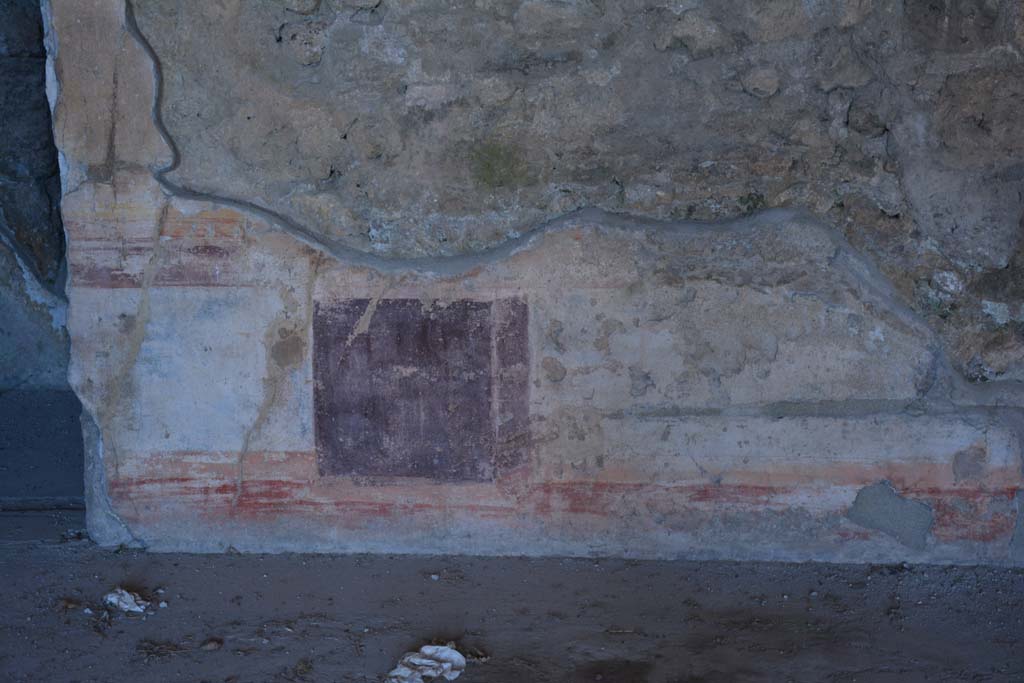 VI.11.10 Pompeii. December 2017. Room 40, detail from lower wall (zoccolo) of north wall.
Foto Annette Haug, ERC Grant 681269 D�COR

