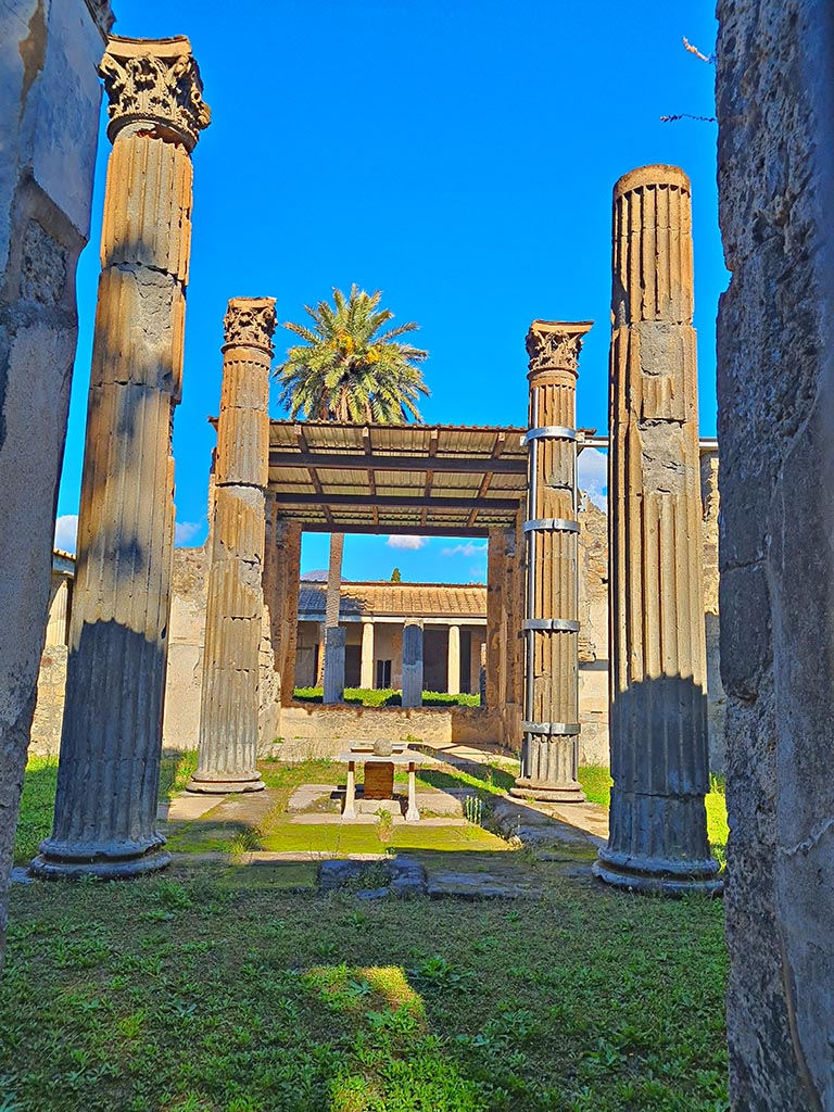 VI.11.10 Pompeii. October 2024.
Looking north from entrance corridor towards impluvium in Tetrastyle atrium. 
Photo courtesy of Giuseppe Ciaramella.
