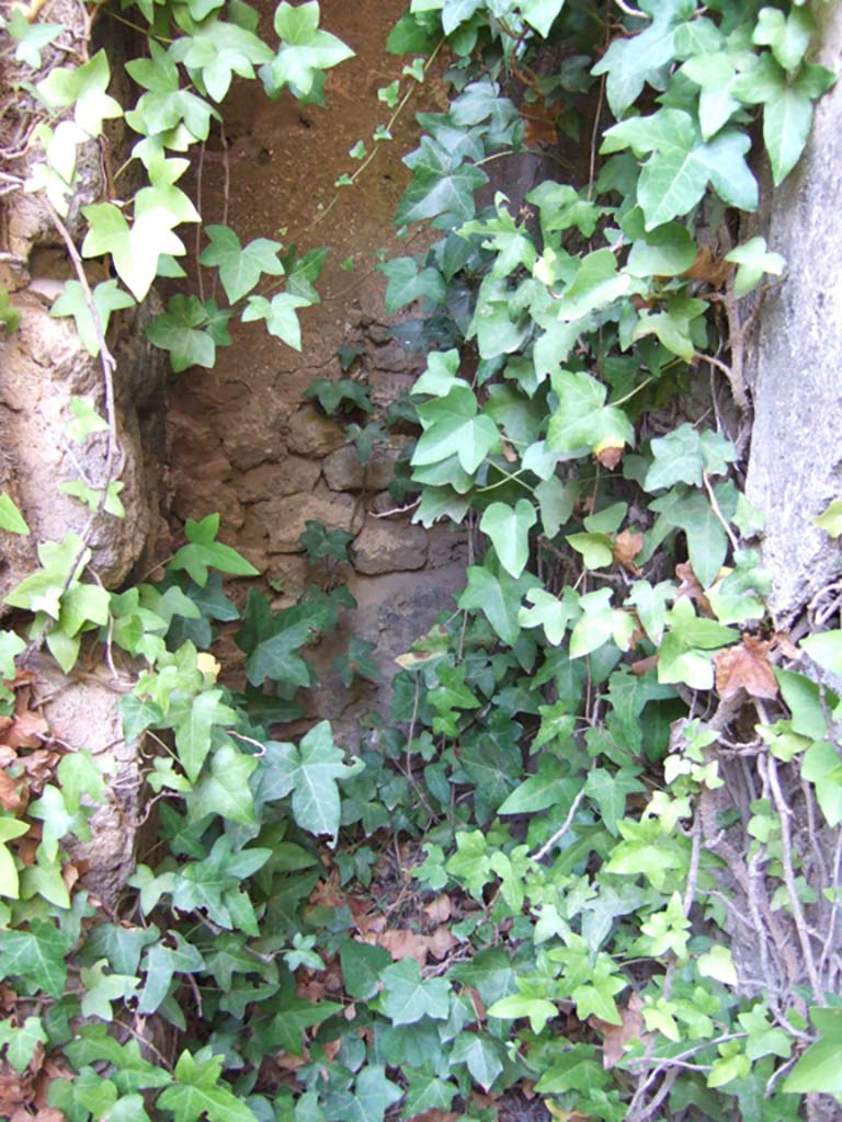 VI.11.17 Pompeii. September 2005.