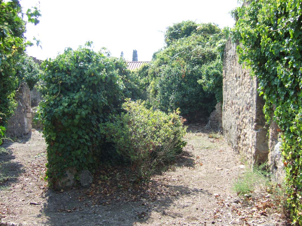 VI.11.17 Pompeii. September 2005. 
Looking west from atrium towards tablinum (7’), centre rear. On its right would have been a small room/cupboard.
In the north wall of the atrium, on the right, is a doorway to triclinium (5’). On the left is the peristyle area. 
