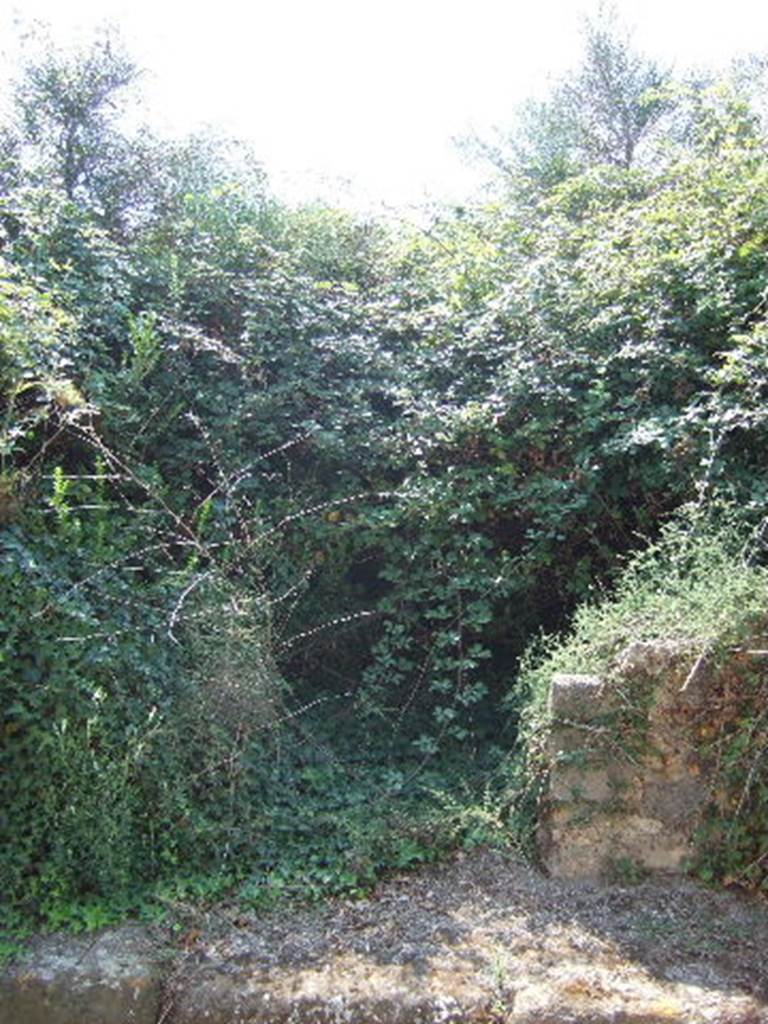 VI.11.20. Entrance overgrown.  September 2005.
