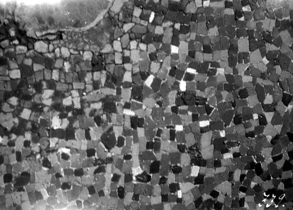 VI.12.2 Pompeii. W.1125. Mosaic paving from ala 30 on east side of atrium.
Photo by Tatiana Warscher. Photo © Deutsches Archäologisches Institut, Abteilung Rom, Arkiv. 
