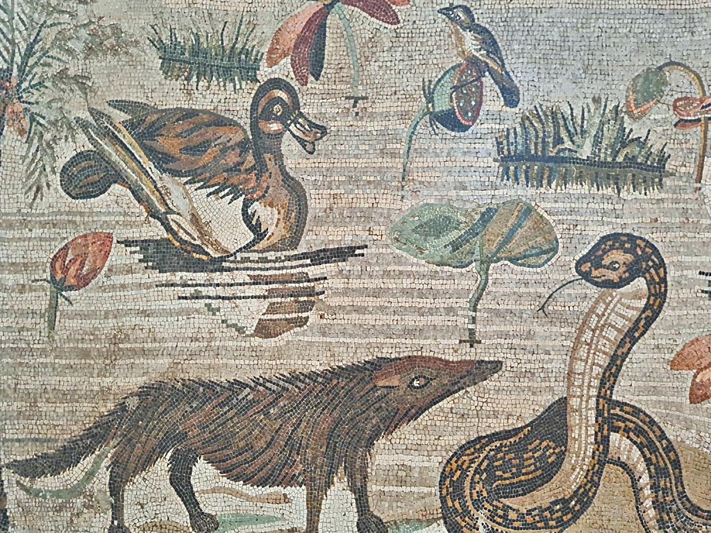 VI.12.2 Pompeii. September 2024. 
Detail from mosaic of Nilotic scene, including ducks and cobra. Photo courtesy of Giuseppe Ciaramella.

