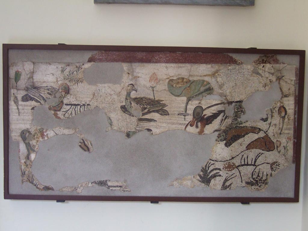 VI.12.2 Pompeii. Found in the pavement of the exedra. Mosaic of water birds. 
Now in Naples Archaeological Museum. Inventory s. n.
See Real Museo Borbonico VIII, Ta XLV (1832).
