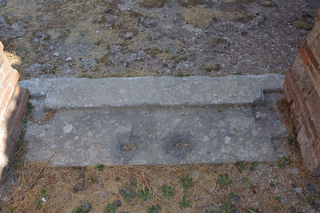 VI.12.5 Pompeii. 14th July 2017. Room 9, detail of threshold/sill, looking north from cubiculum.
Foto Annette Haug, ERC Grant 681269 DÉCOR.
