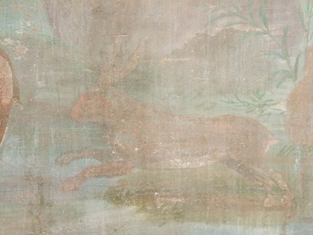 VI.14.20  Pompeii.  March 2009. Room 18.  Garden area.  West wall.  Hare or rabbit.