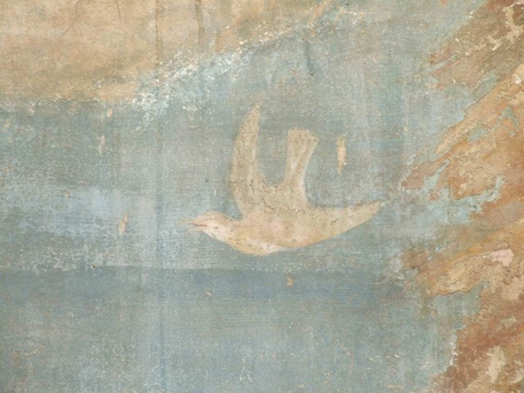 VI.14.20  Pompeii.  March 2009. Room 18.  Garden area.  West wall, Painted bird.