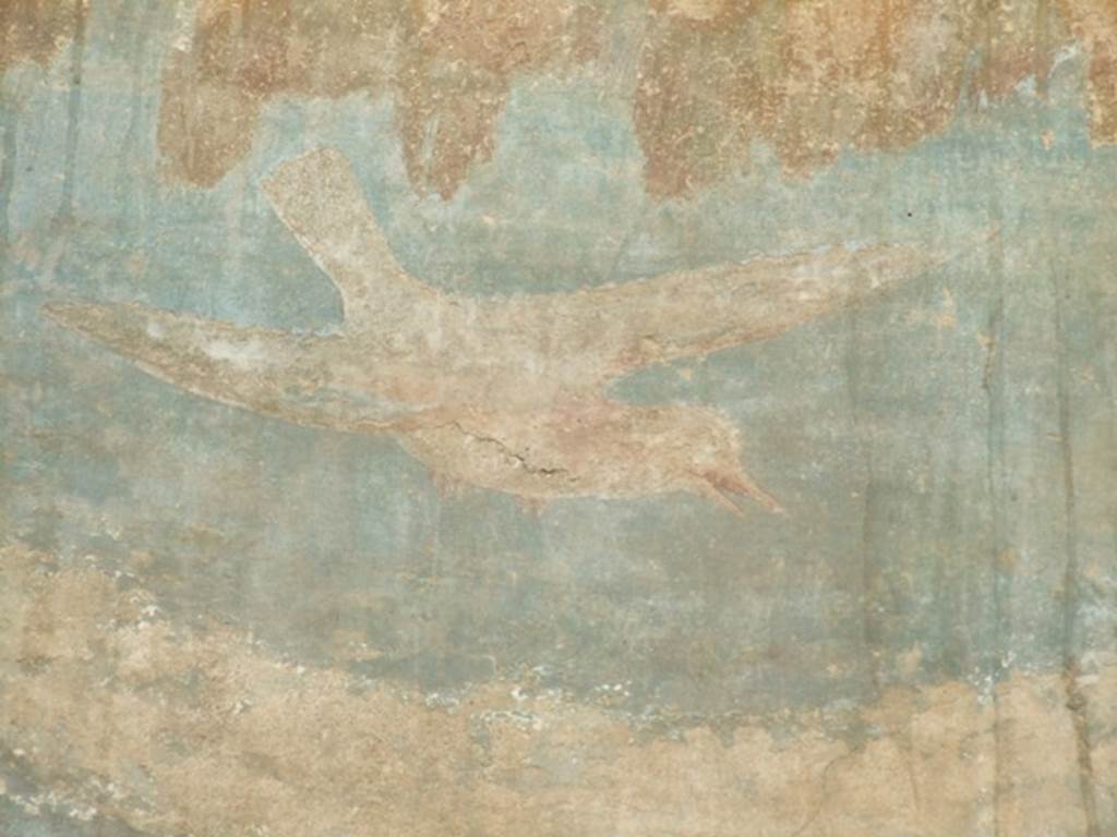 VI.14.20 Pompeii. March 2009. Room 18, painted bird from west wall of garden area.