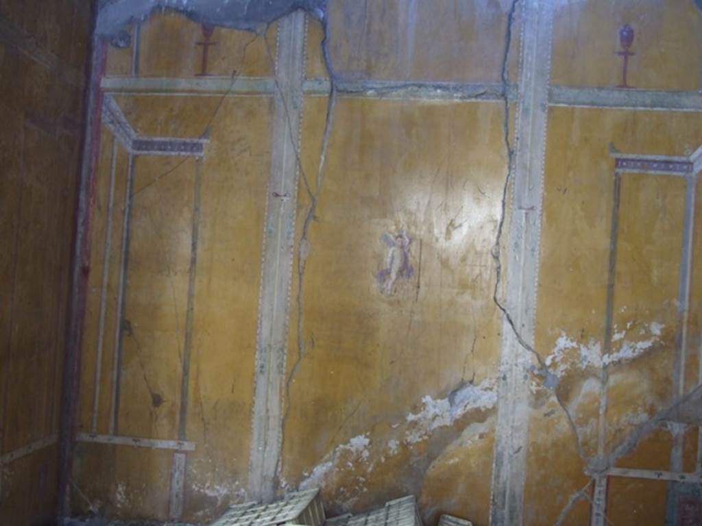 VI.14.20  Pompeii.  March 2009.  Room 13.  South wall.