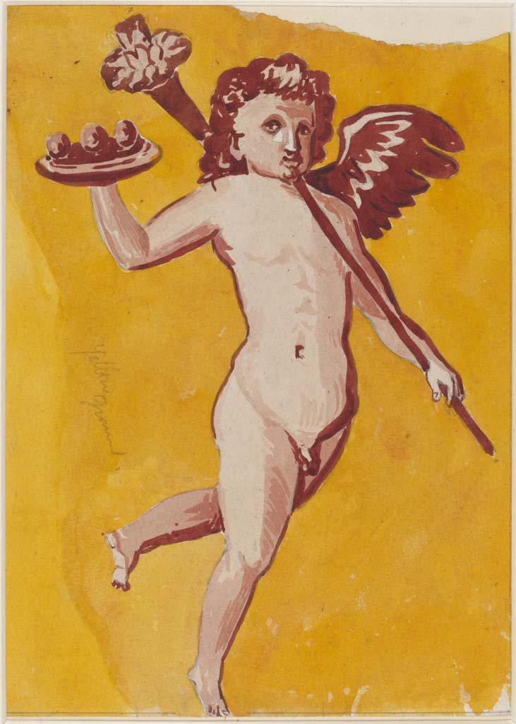 VI.14.20 Pompeii. Undated painting of cupid by Sydney Vacher. 
(Note: this may or may not have come from the same room 13, as the above one, where the walls are very faded)
Photo � Victoria and Albert Museum, inventory number E.4415-1910. 


Photo � Victoria and Albert Museum, inventory number E.4415-1910. 
