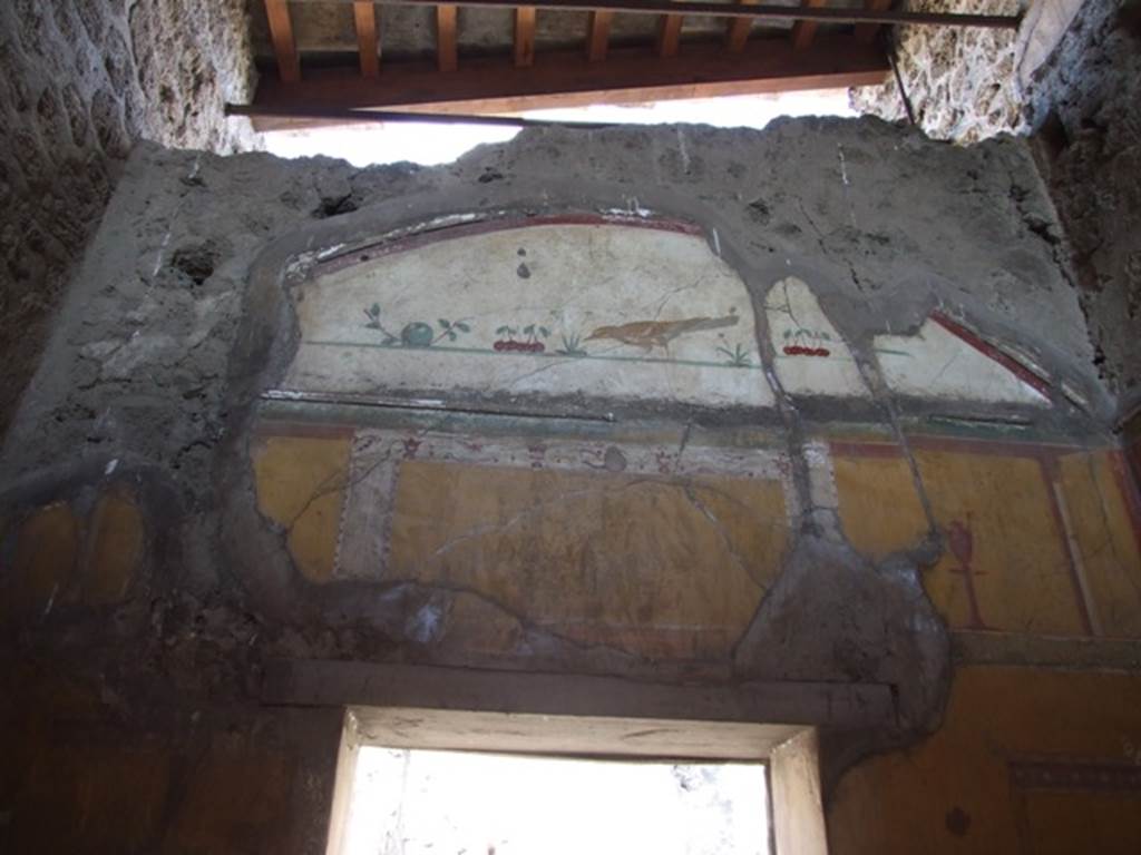 VI.14.20 Pompeii. March 2009. Room 13, north wall with upper part over the door.