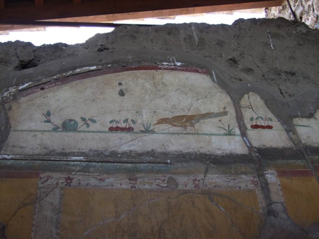 VI.14.20 Pompeii. March 2009. Room 13, wall painting of bird and fruit on north wall.