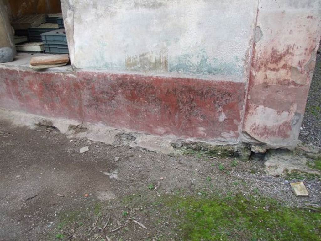 VI.14.20 Pompeii. March 2009. Room 18, painting of plants on lower border on north end of west wall of garden area.