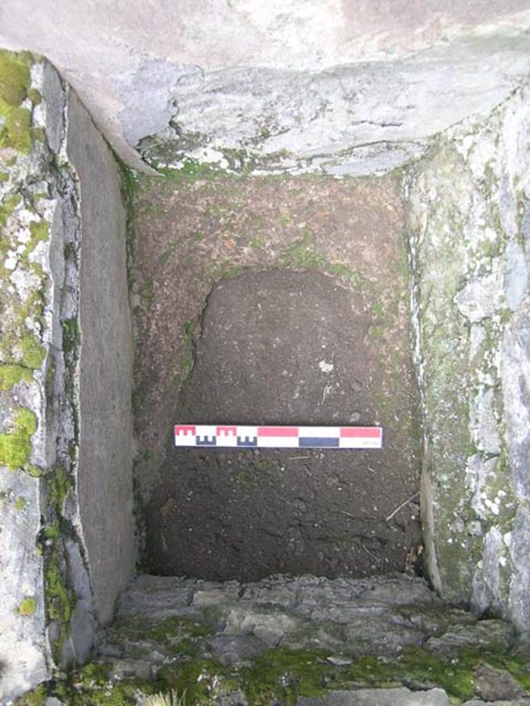 VI.14.21 Pompeii. June 2006. Detail of right vat. Photo courtesy of Nicolas Monteix.