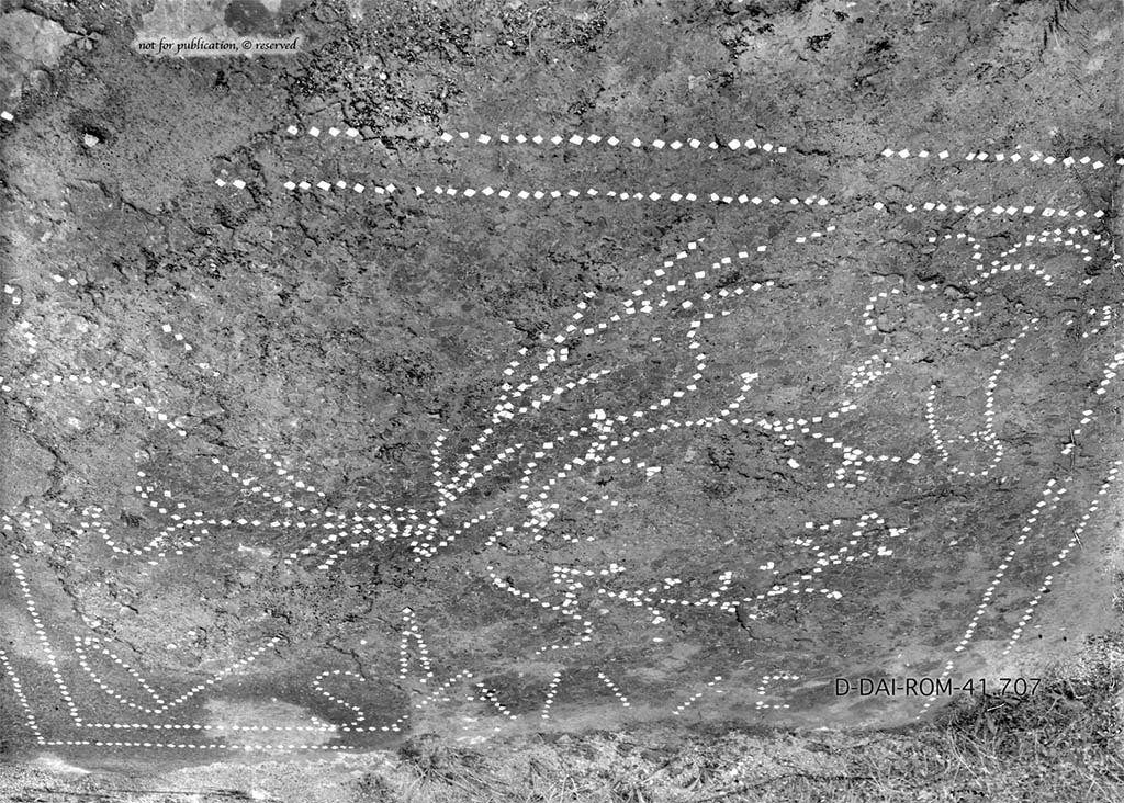 VI.14.21 Pompeii. Pre 1938. Fragment of flooring with white tesserae from room �r�.
DAIR 41.707. Photo � Deutsches Arch�ologisches Institut, Abteilung Rom, Arkiv. 
See Pernice, E., 1938. Pavimente und Fig�rliche Mosaiken: Die Hellenistische Kunst in Pompeji, Band VI. Berlin: de Gruyter, p. 80, Taf. 35,4.
According to PPM �
�The floor of cocciopesto, which at the rear of the room had a decoration outlined in white tesserae, containing a phallus, some branches, two cornucopia and the inscription �SALVE� (now preserved only in taf. 35.4 of Pernice and in Fig. 68 of the Warscher), it must have been carried out before the installation of the basins/tanks.�
See Carratelli, G. P., 1990-2003. Pompei: Pitture e Mosaici. Vol. V. Roma: Istituto della enciclopedia italiana, (p. 331). 
