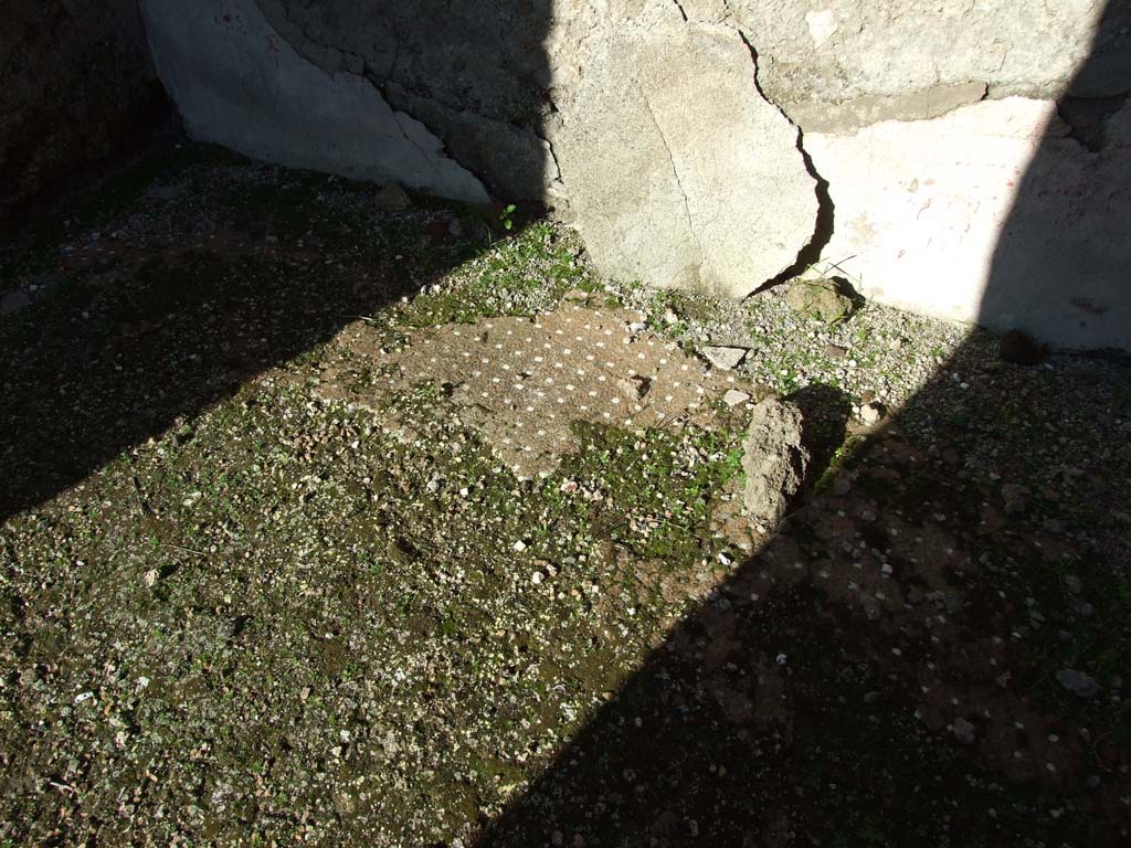 VI.14.43 Pompeii. December 2007. Room 5, remains of patterned floor in room on north side of atrium.
According to Bragantini, the floor was formed of cocciopesto with white tesserae dots.
See Bragantini, de Vos, Badoni, 1983. Pitture e Pavimenti di Pompei, Parte 2. Rome: ICCD. (p.300, ambiente ‘8’)