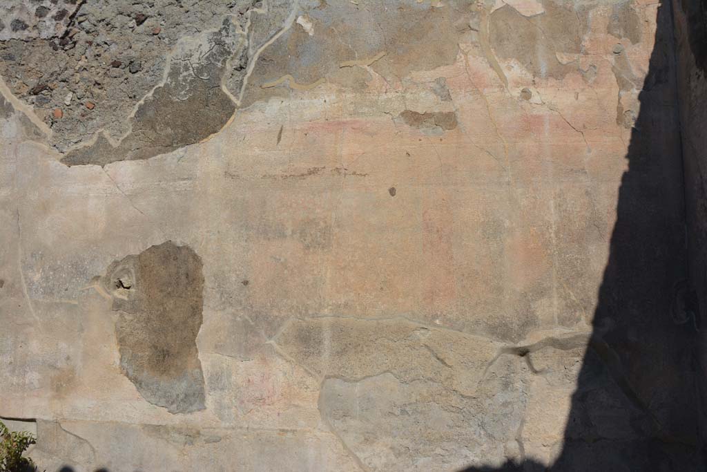 VI.14.43 Pompeii. September 2019. Room 15, detail from north wall.
Foto Annette Haug, ERC Grant 681269 DÉCOR.