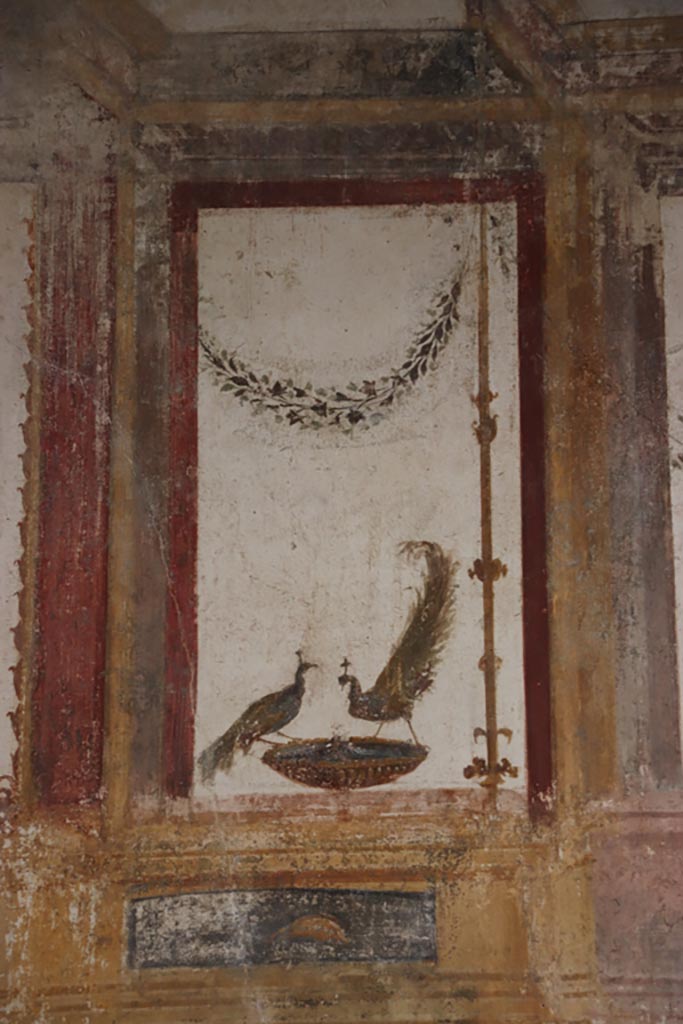 VI.15.1 Pompeii. October 2023.
Detail of painted peacocks from upper west wall at south end. Photo courtesy of Klaus Heese.