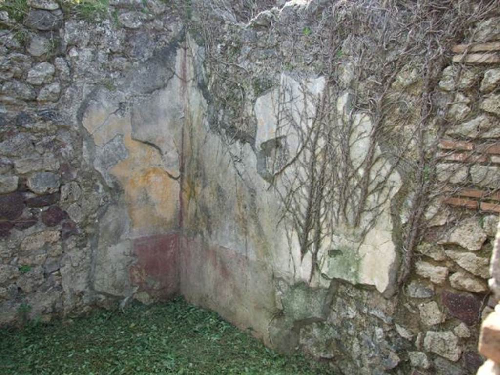 VI.15.5 Pompeii. March 2009. Room 26. South west corner.
