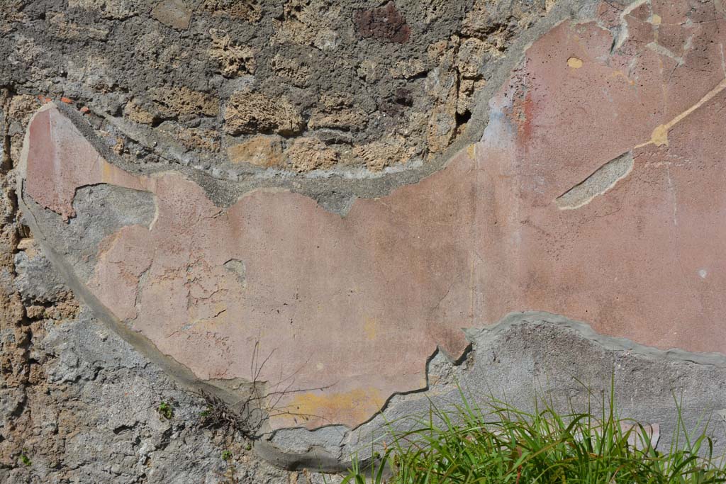 VI 15 5 Pompeii. March 2019. North ala 6, detail of painted decoration on north wall.
Foto Annette Haug, ERC Grant 681269 D�COR.
