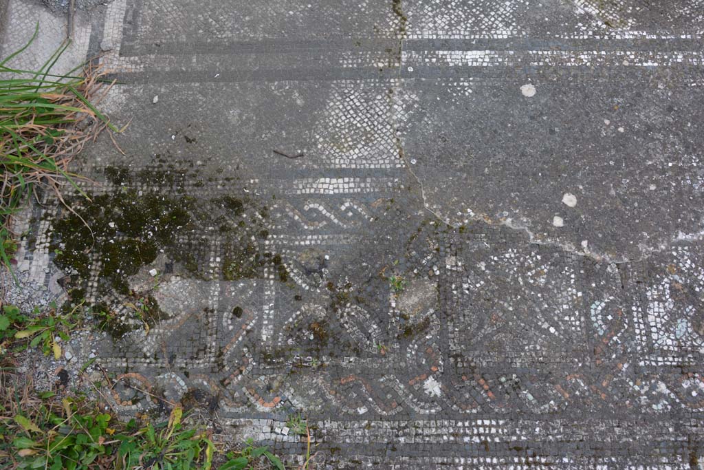 VI 15 5 Pompeii. March 2019. Tablinum 7, coloured mosaic threshold in tablinum, detail starting from the south (left) side.
Foto Annette Haug, ERC Grant 681269 D�COR.
