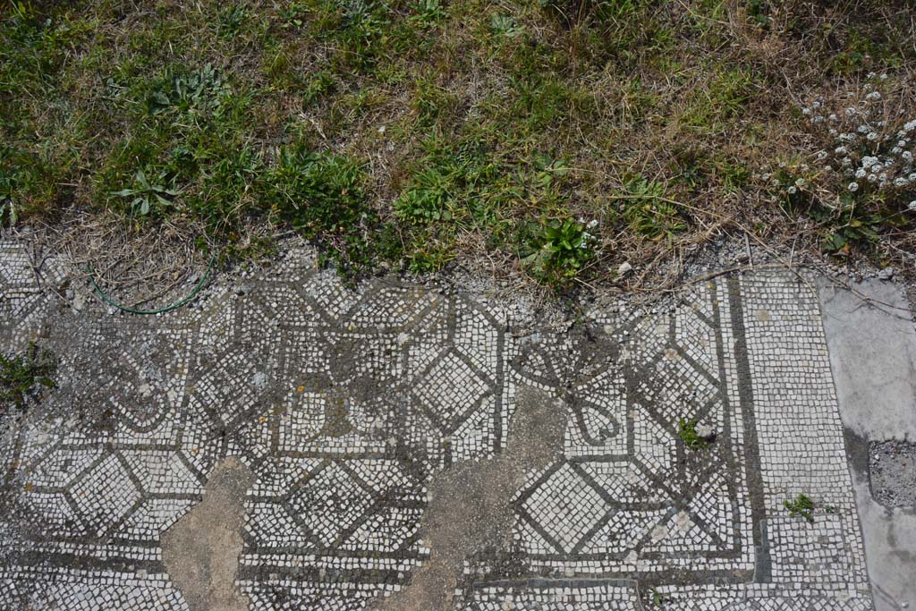 VI 15 5 Pompeii. March 2019. Tablinum 7, mosaic at north end of west side of tablinum.
Foto Annette Haug, ERC Grant 681269 D�COR.

