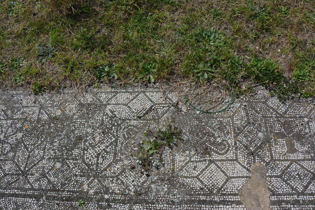 VI 15 5 Pompeii. March 2019. Tablinum 7, mosaic in centre of west side of threshold end of tablinum.
Foto Annette Haug, ERC Grant 681269 D�COR.

