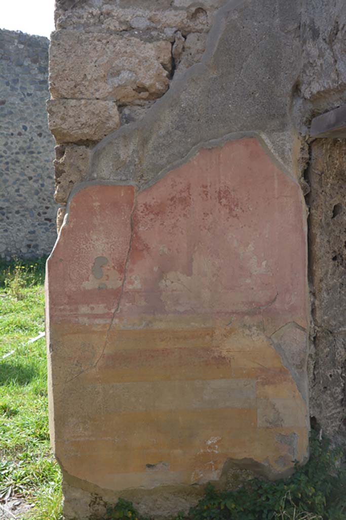 VI 15 5 Pompeii. March 2019. Oecus/triclinium 8, west wall on north side of doorway.
Foto Annette Haug, ERC Grant 681269 D�COR.
