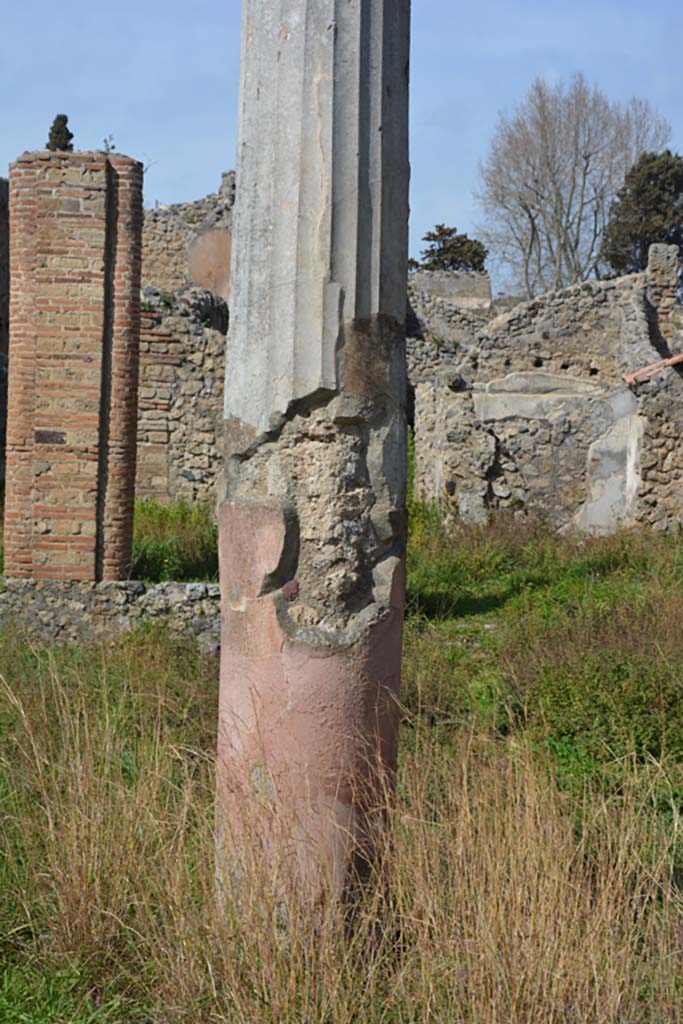 VI 15 5 Pompeii. March 2019. Garden area 11, detail from column near east portico.
Foto Annette Haug, ERC Grant 681269 D�COR.
