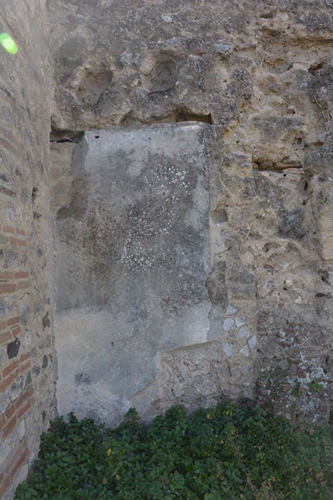VI 15 5 Pompeii. March 2019. North portico 13, detail from west wall at south end.
Foto Annette Haug, ERC Grant 681269 DÉCOR.
